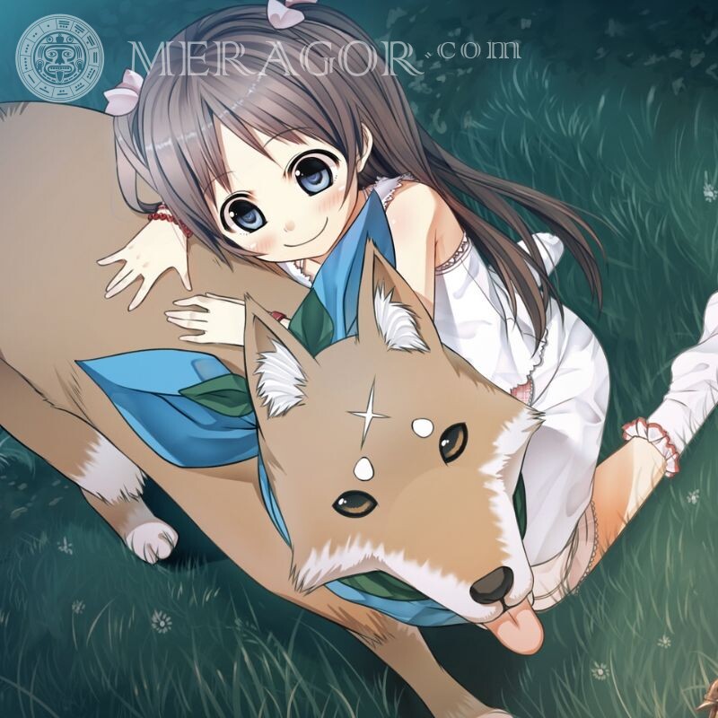 Anime girl with fox Anime, figure Foxes
