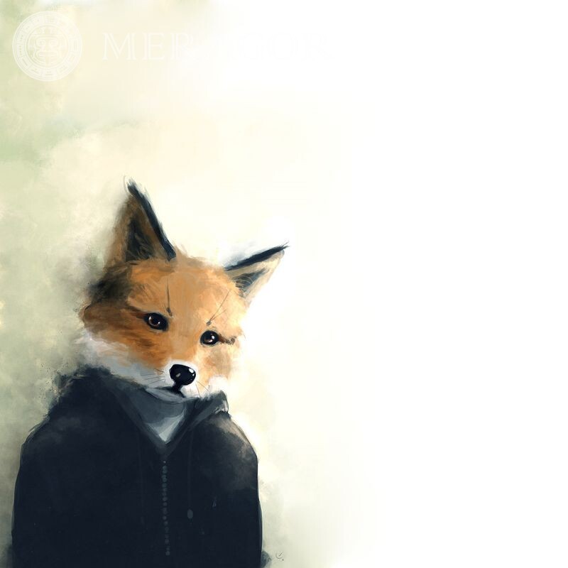 Man fox in a hoodie, picture for icon Foxes Funny Funny animals