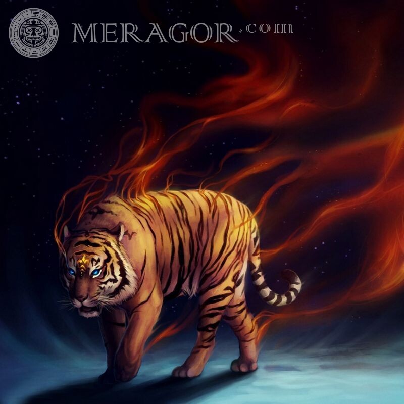 Tiger no avatar Os tigres