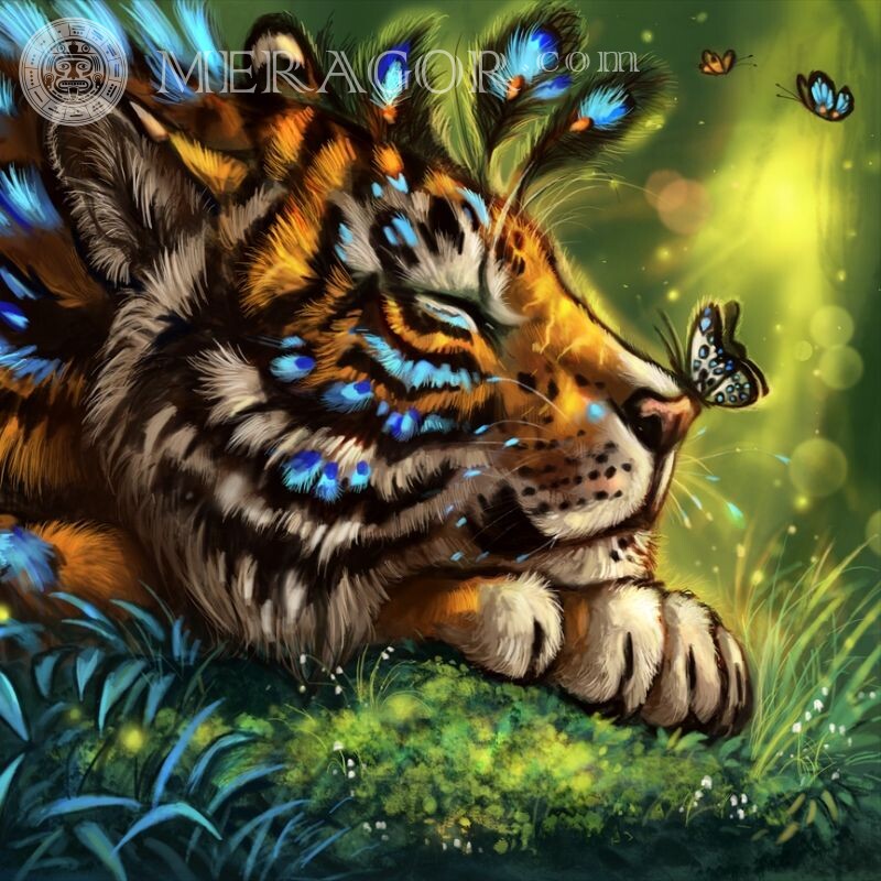 Belo desenho de um tigre em um avatar Os tigres