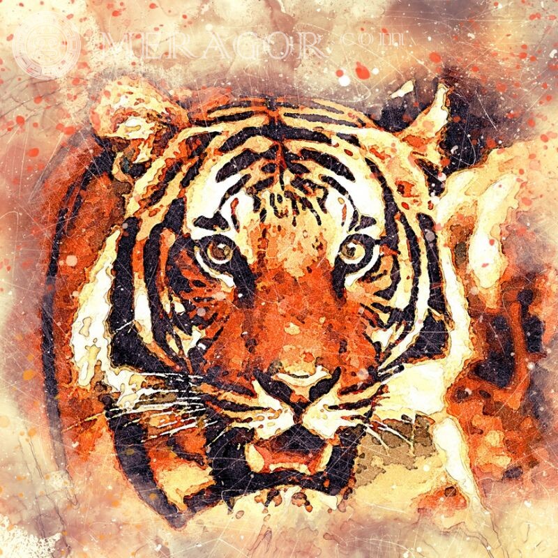 Красивий тигр на аву Тигр