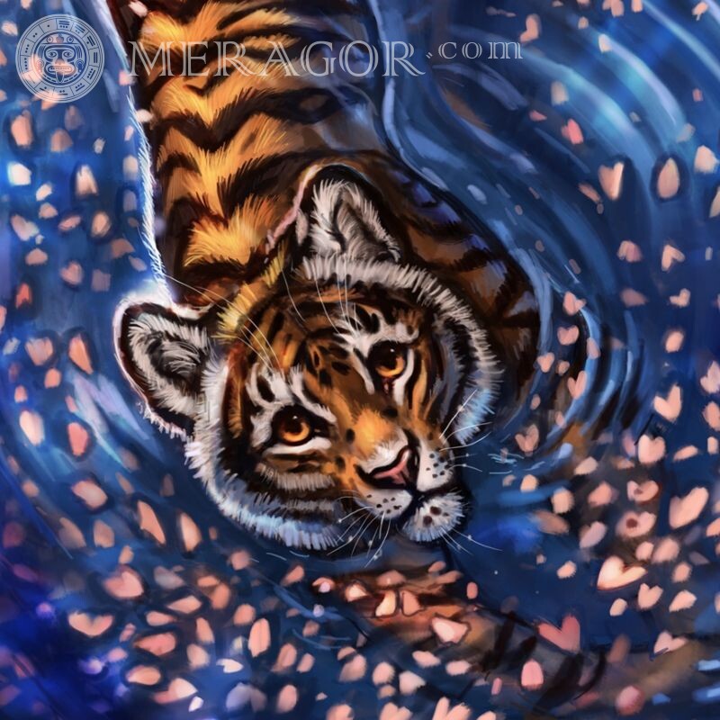 Картинки тигрів на аву скачати Тигр