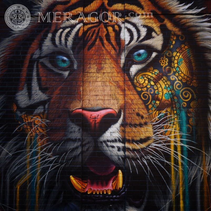 Arte do tigre no avatar Os tigres