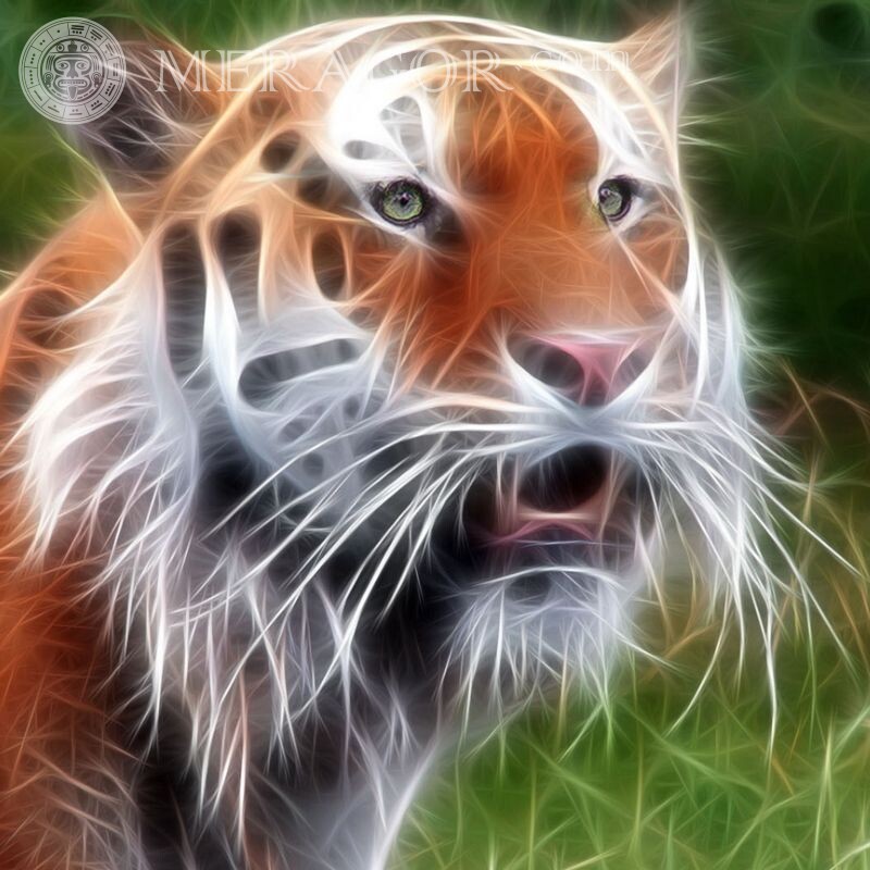 Красивый арт с тигром скачать Тигры