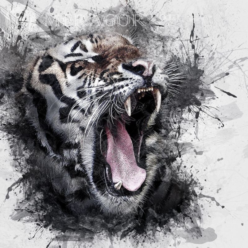 Крутой арт с тигром Тигры