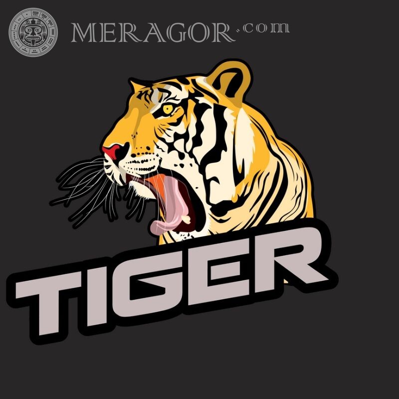 Arte da capa do tigre Os tigres