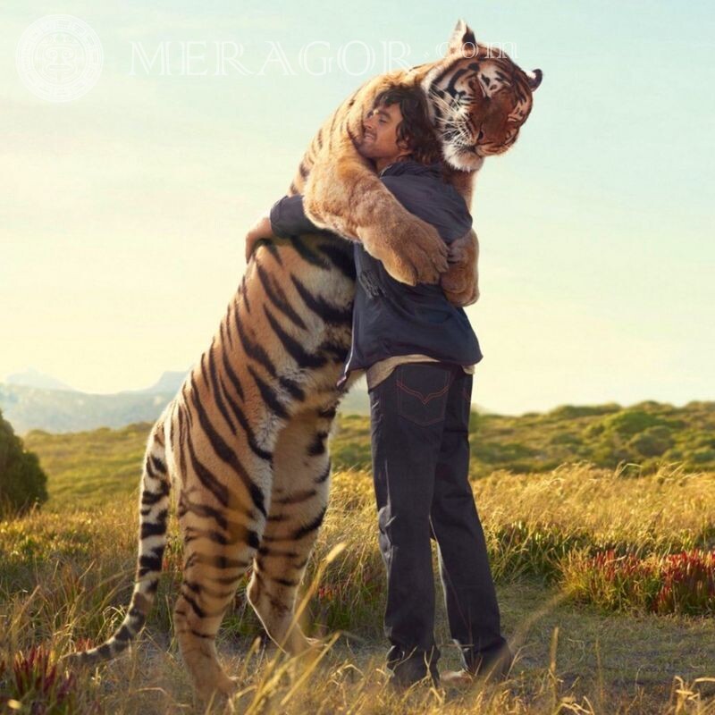 Lustiger Avatar umarmt sich mit einem Tiger Lustig Tiger Lustige Tiere