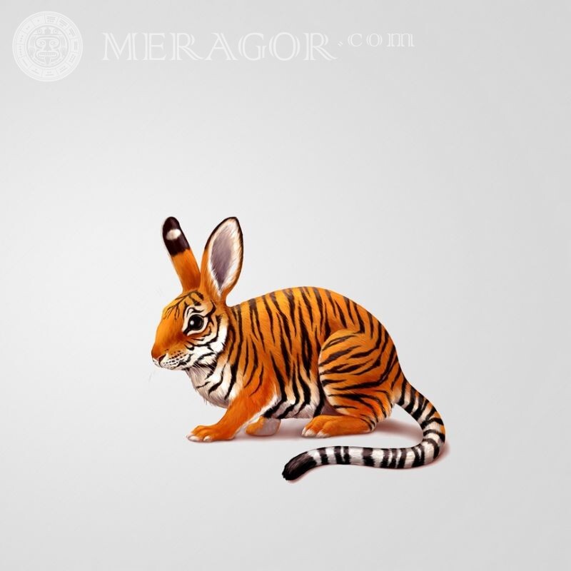 Imagem engraçada de lebre tigre para avatar Os tigres
