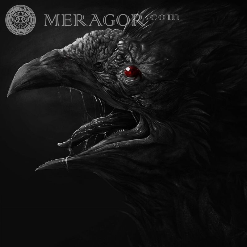 Страшный ворон на аватар Страшные Птицы Черные