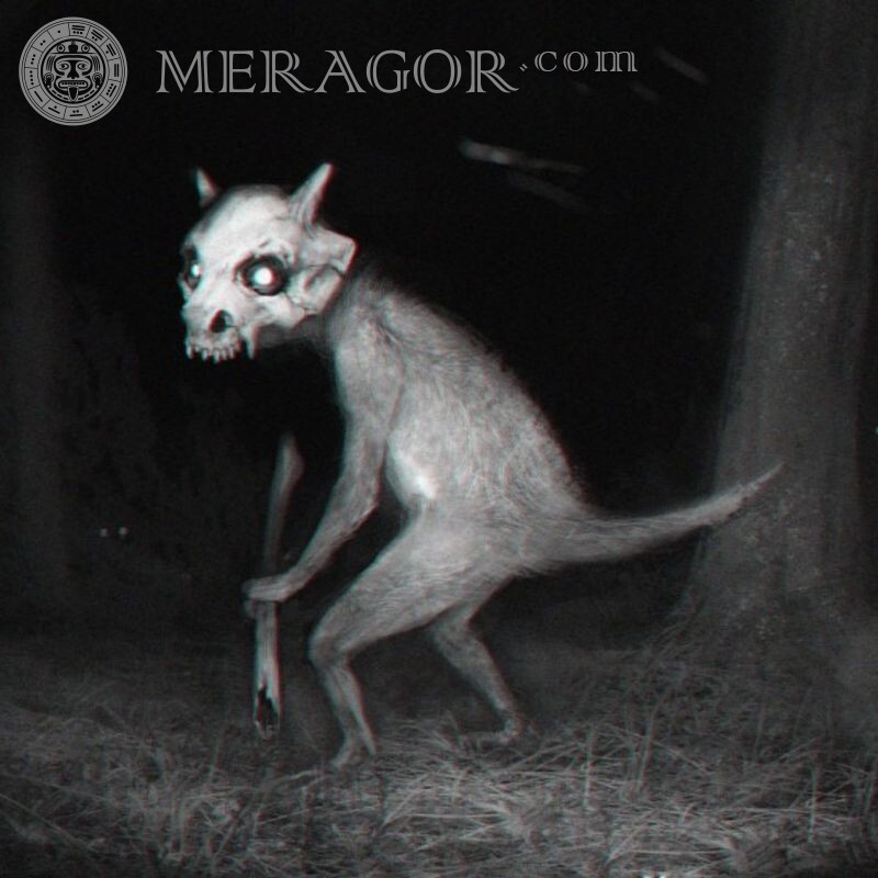 Animales de miedo en avatar de fantasía Espantoso