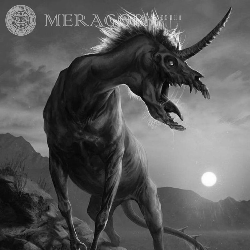 Scary unicorn picture for avatar Scary Black and white Black