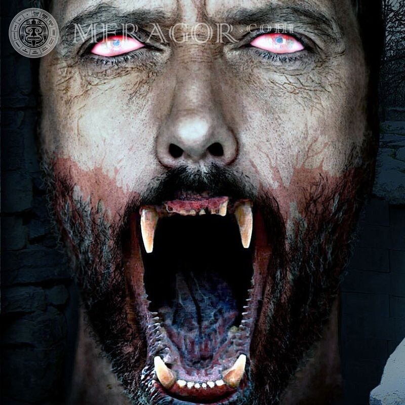 Werwolf-Vampir-Avatar Gesichter, Porträts Vampire Gesichter von Männern