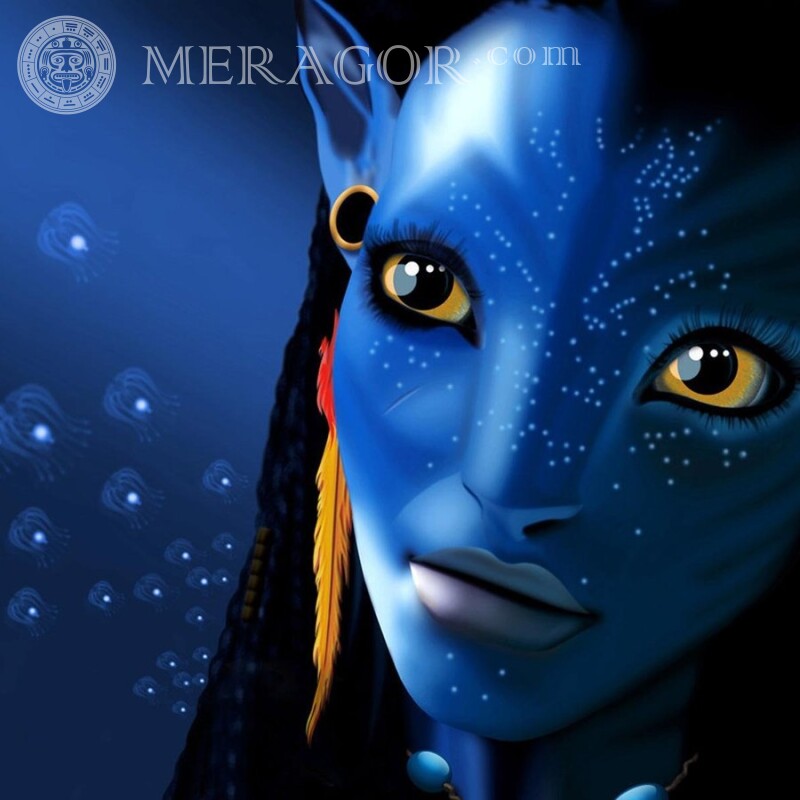 Profile photo from the movie Avatar From films Anime, figure
