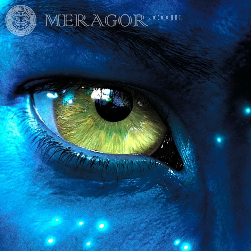 Descarga de la portada de la película Avatar De las películas