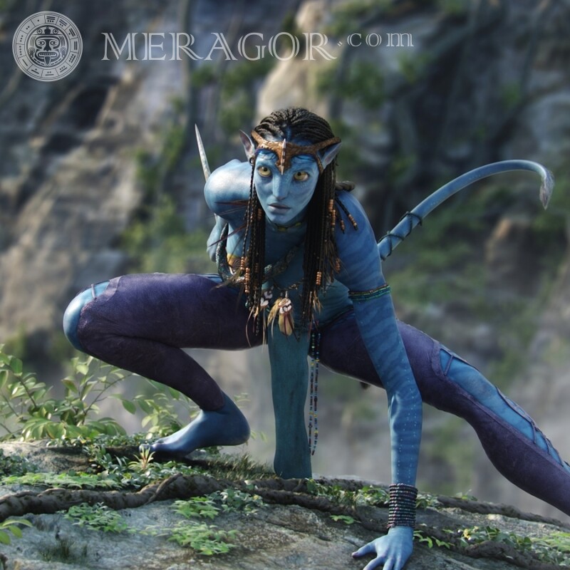 Photo de Avatar sur avatar Des films