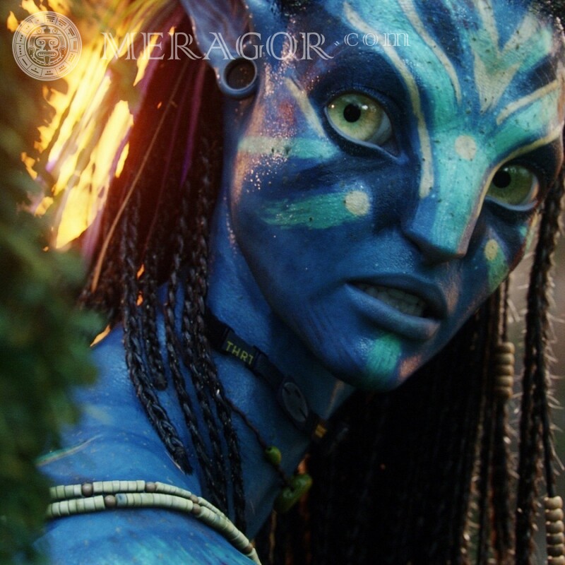 Avatar aus dem Film Avatar für soziale Netzwerke Aus den Filmen