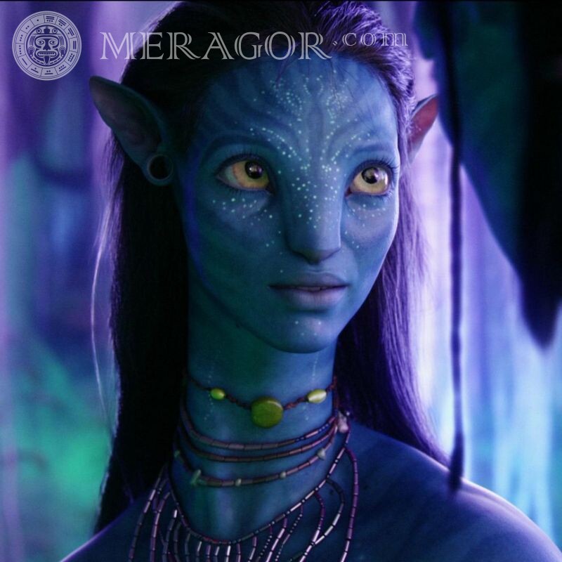 Icon from the movie Avatar Faces, portraits Faces of girls From films