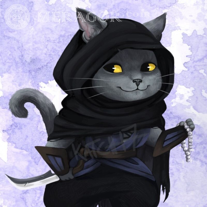 Кот в капюшоне на аву Коты Аниме, рисунок