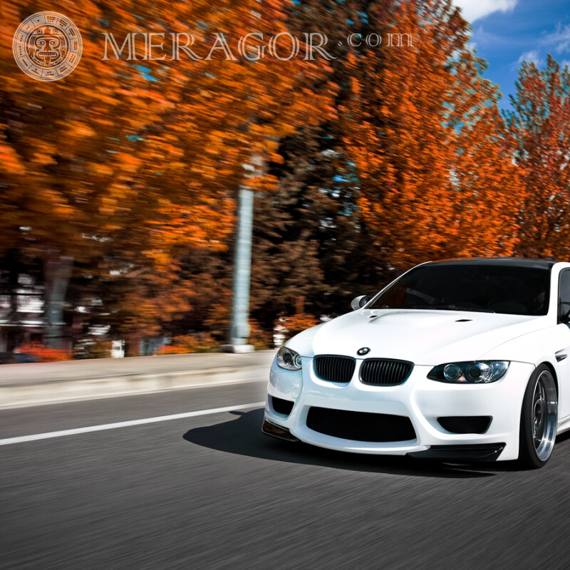 Imagem do carro BMW para download de avatar Carros Transporte