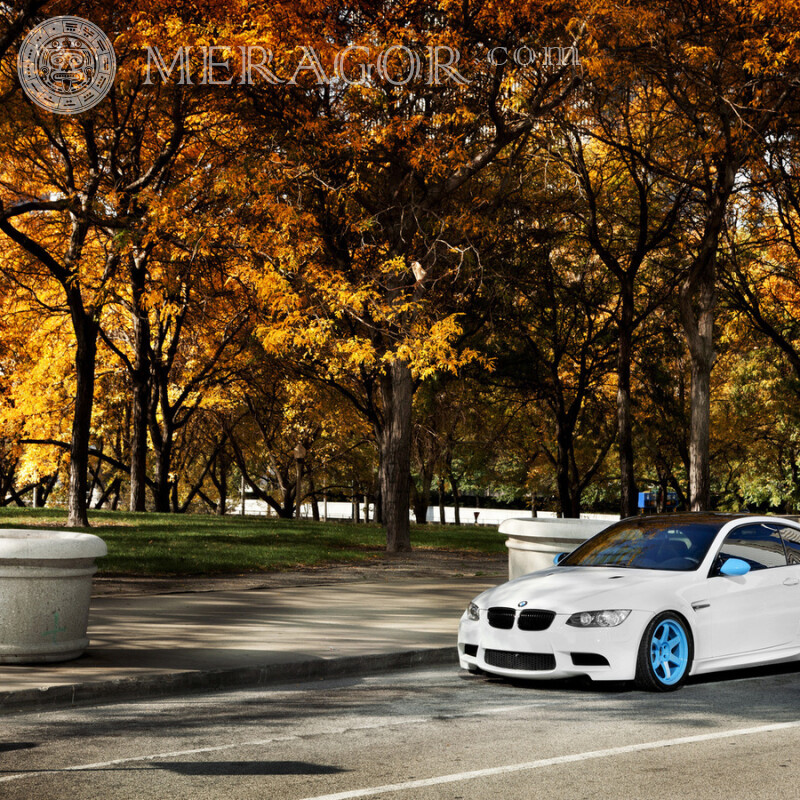 BMW Auto Foto auf Instagram herunterladen Autos Transport