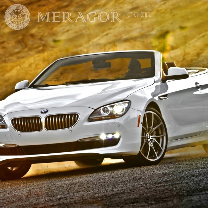 Download BMW picture for guy's profile picture Cars Transport