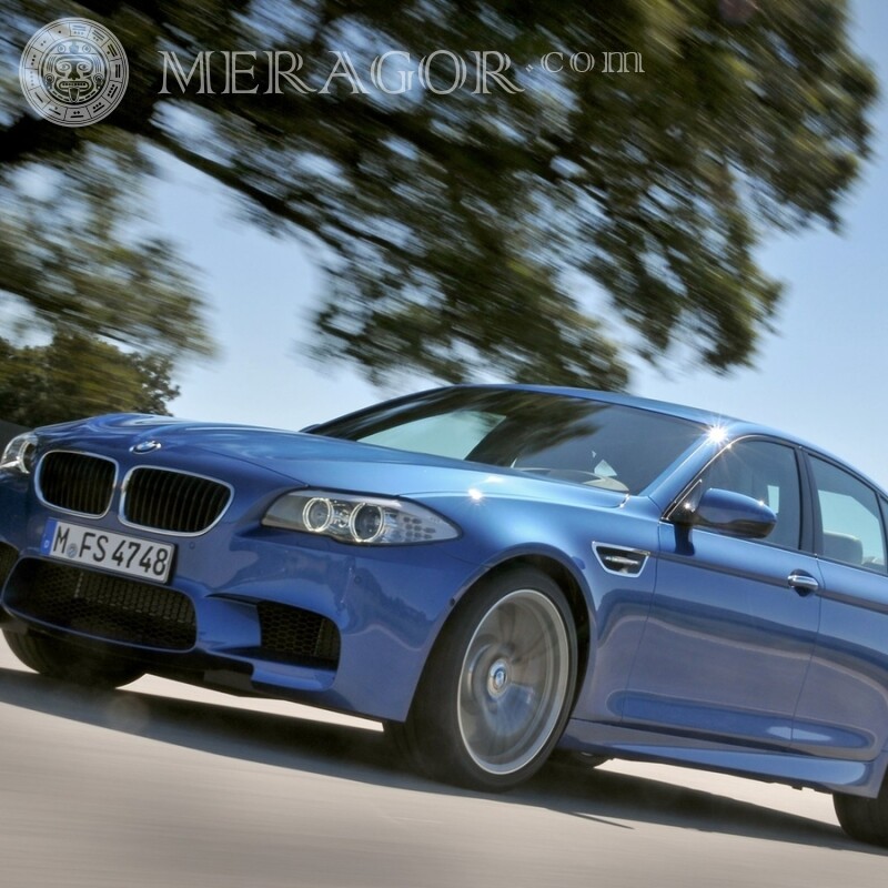 BMW faz o download de uma imagem em um avatar de um cara Carros Azul Transporte