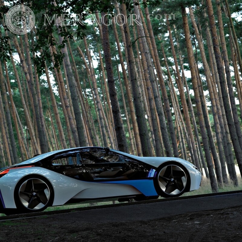 Foto eines BMW Autos auf dem Avatar eines Mädchens Autos Transport