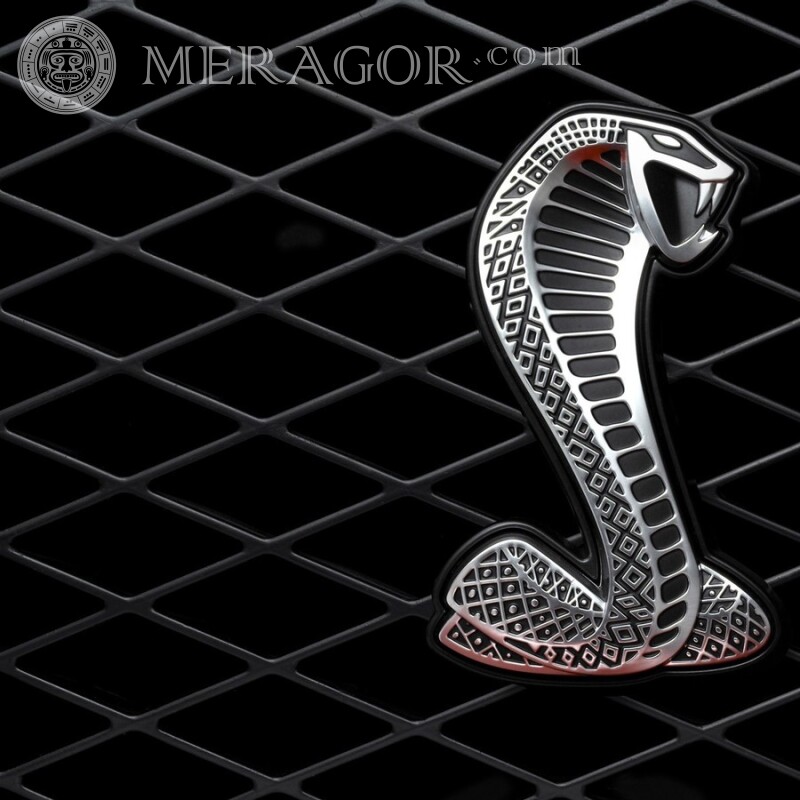 Laden Sie das Cobra-Logo auf den Avatar herunter Logos