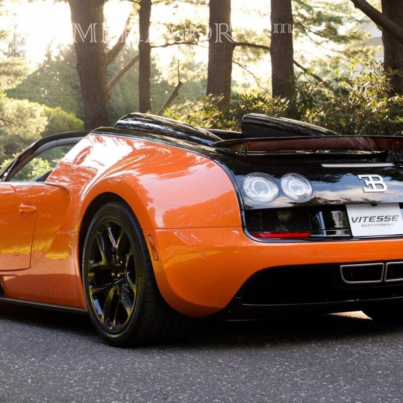 Download sporty Bugatti photo for boyfriend avatar Cars Transport
