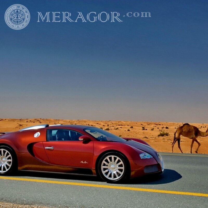 Laden Sie das Bugatti-Foto für den Avatar des Mädchens herunter Autos Transport