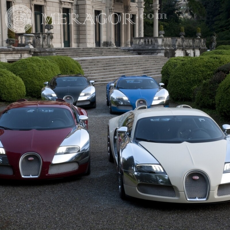 Bugatti lädt ein Foto auf einem Avatar für einen 11-jährigen herunter Autos Transport