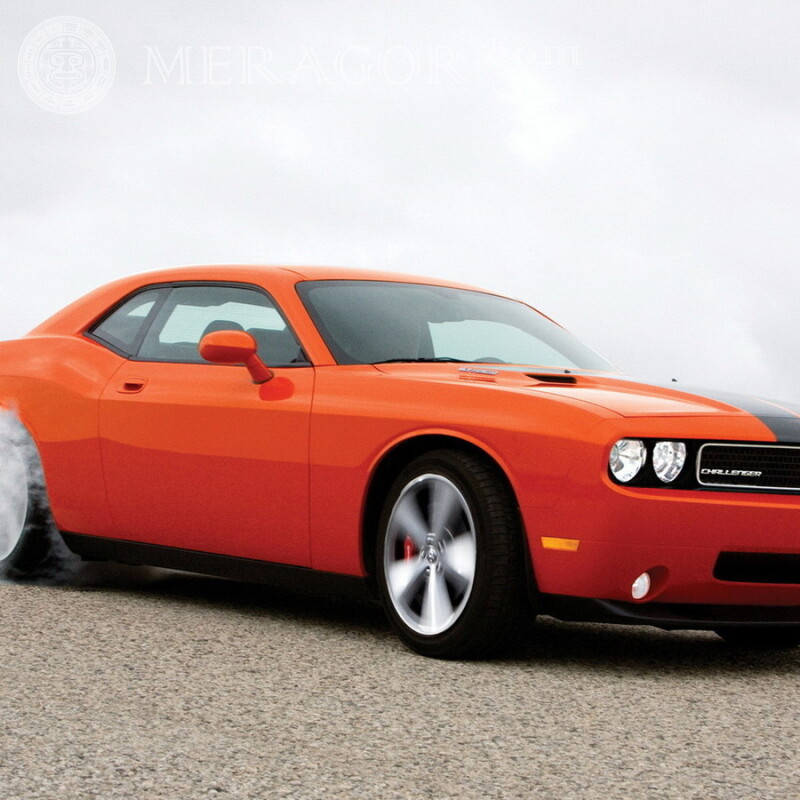 Dodge photo on avatar Cars Transport