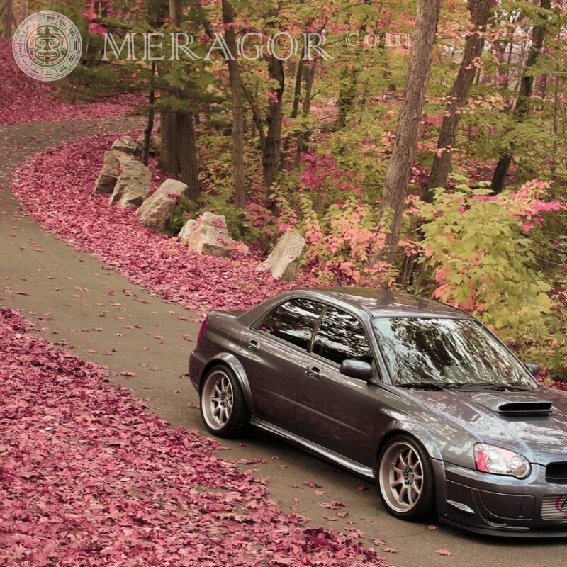 Subaru Profilbild herunterladen Autos Transport