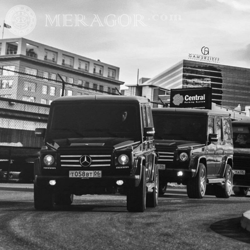 Download auf Avatar Foto teure Mercedes Autos Transport