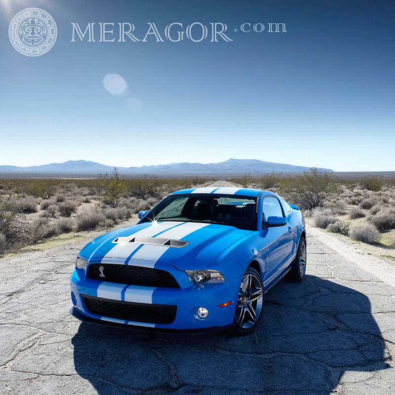 Скачать на аву фото Mustang Carros Azul Transporte