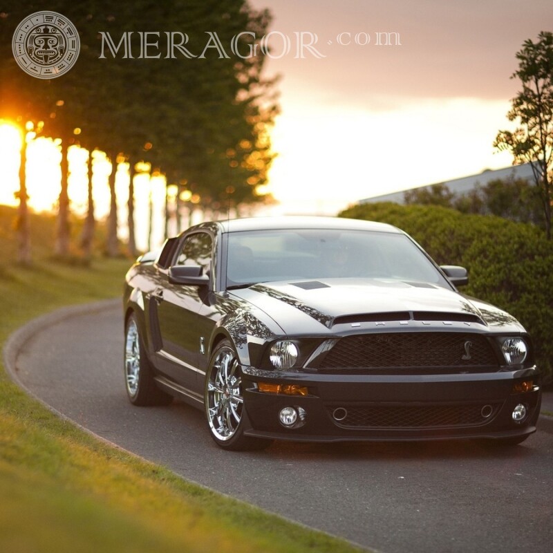Завантажити на аватарку фотку Mustang на обкладинку Автомобілі Транспорт