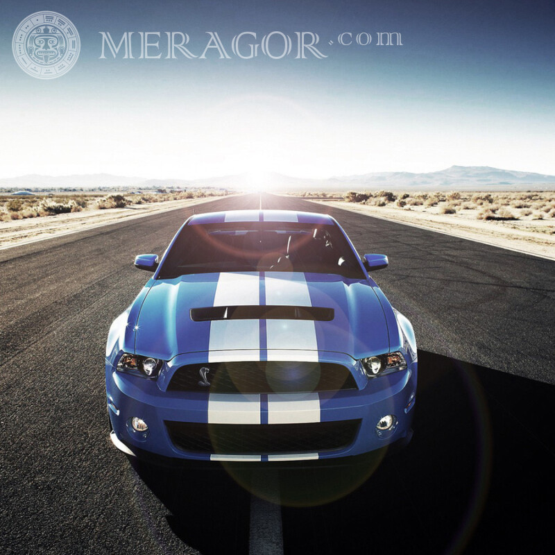 Laden Sie ein Bild eines coolen Mustangs auf Ihr Profilbild herunter Autos Blaue Transport