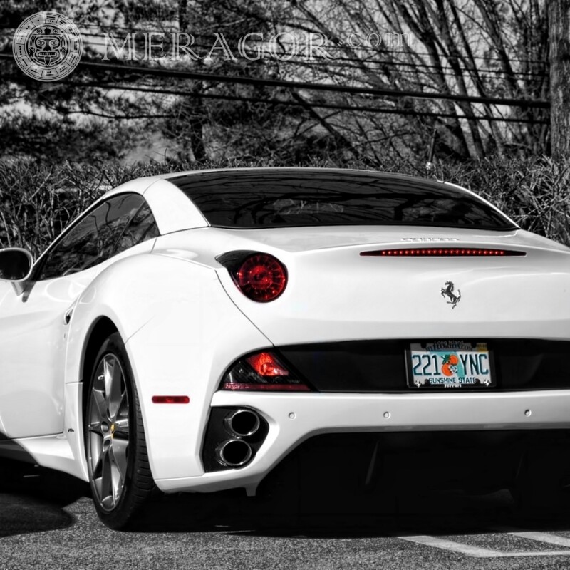 Ferrari Auto Foto für harten Kerl Autos Transport