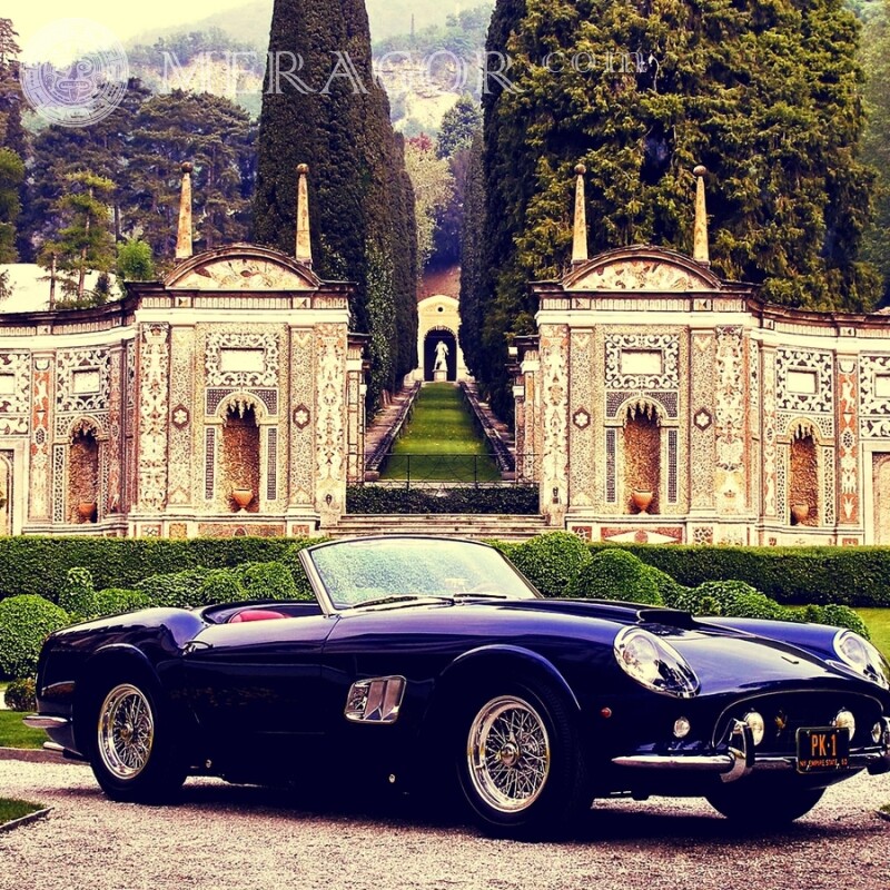 Descargar la foto de Ferrari en la página de perfil de hombre Autos Transporte