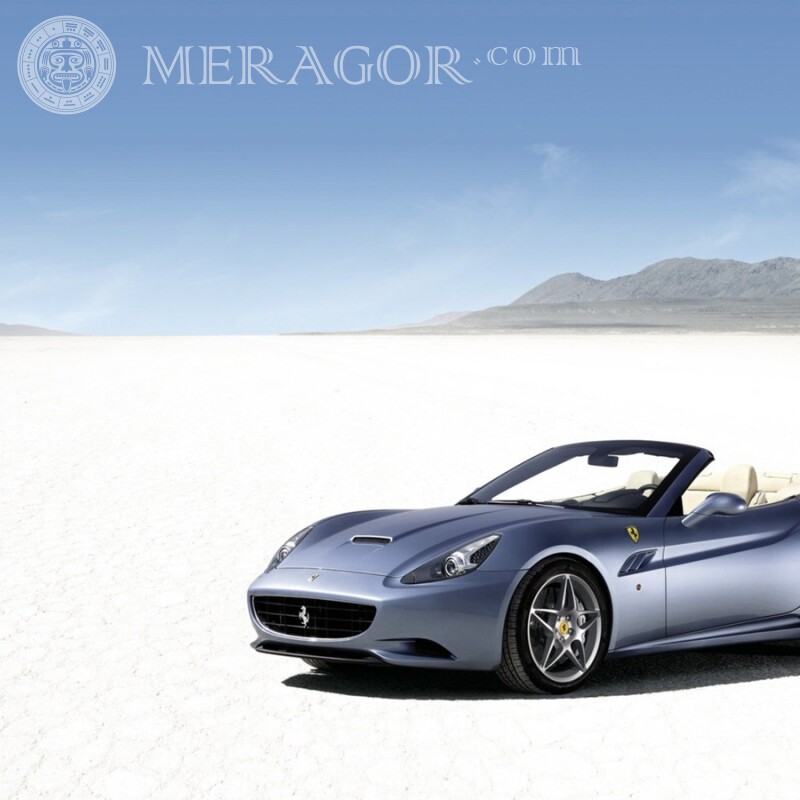 Download Ferrari profile picture for guy Cars Transport