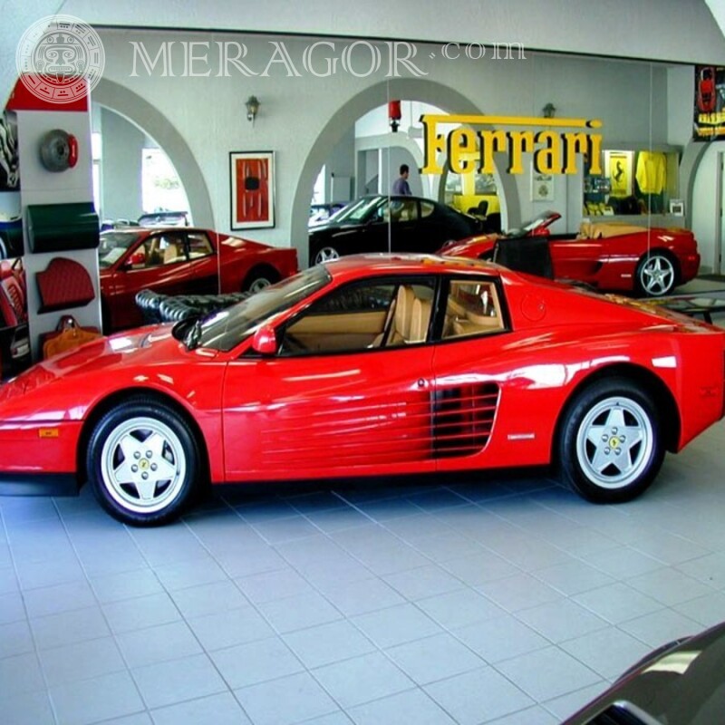 Poderosa imagem de download de avatar da Ferrari Carros Reds Transporte