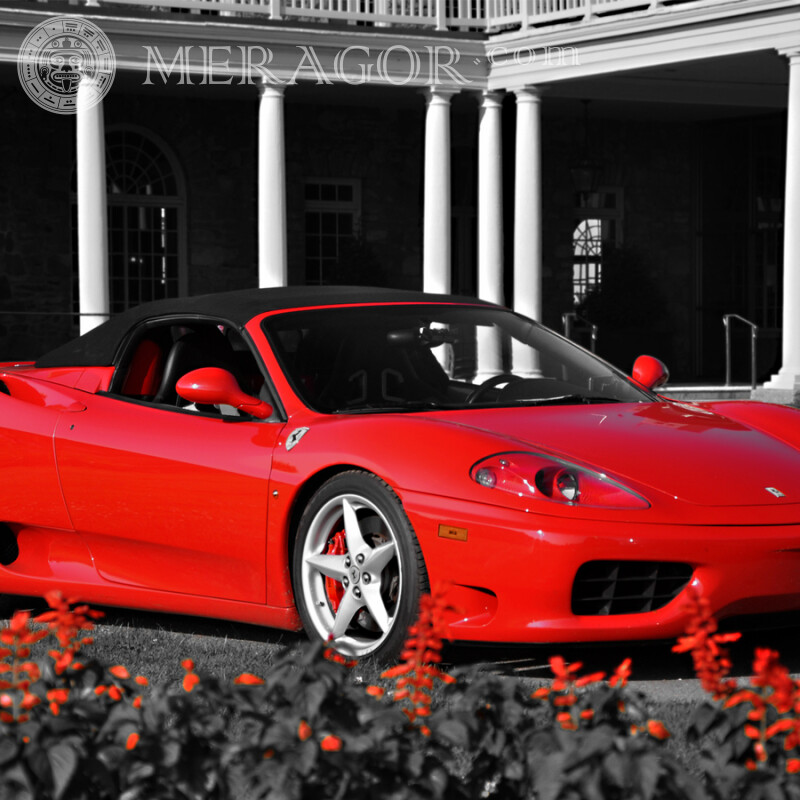 Foto eines Ferrari-Autos für das Profilbild eines Mannes Autos Rottöne Transport