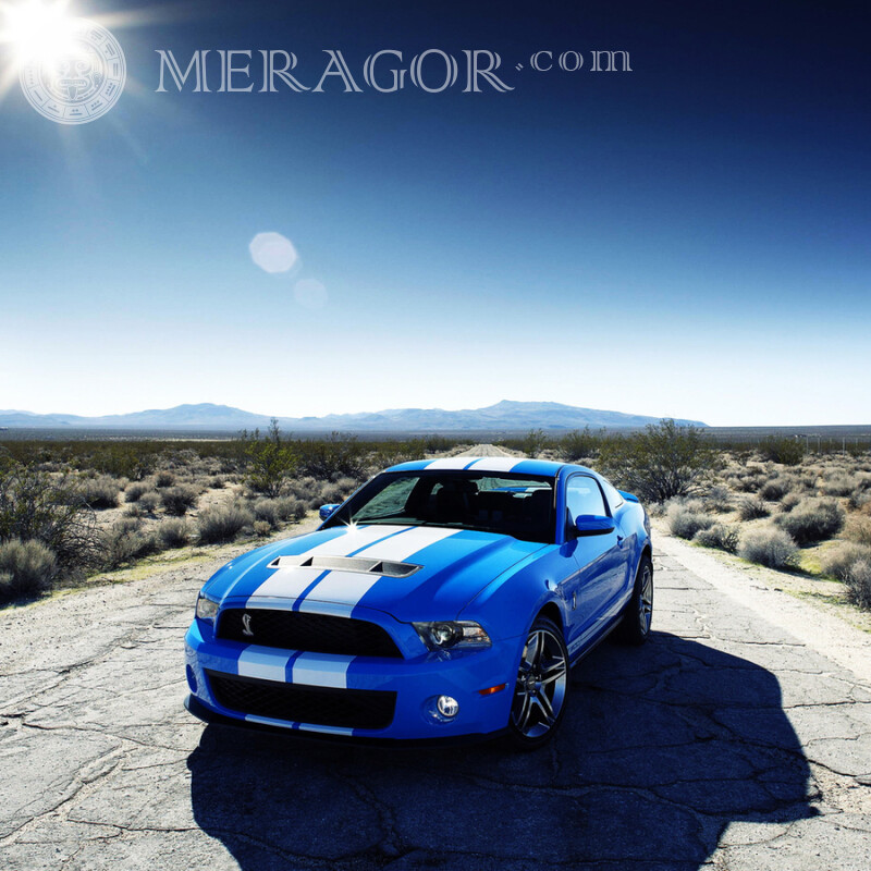 Крутой синий Ford Mustang скачать фото для девушки Автомобили Транспорт