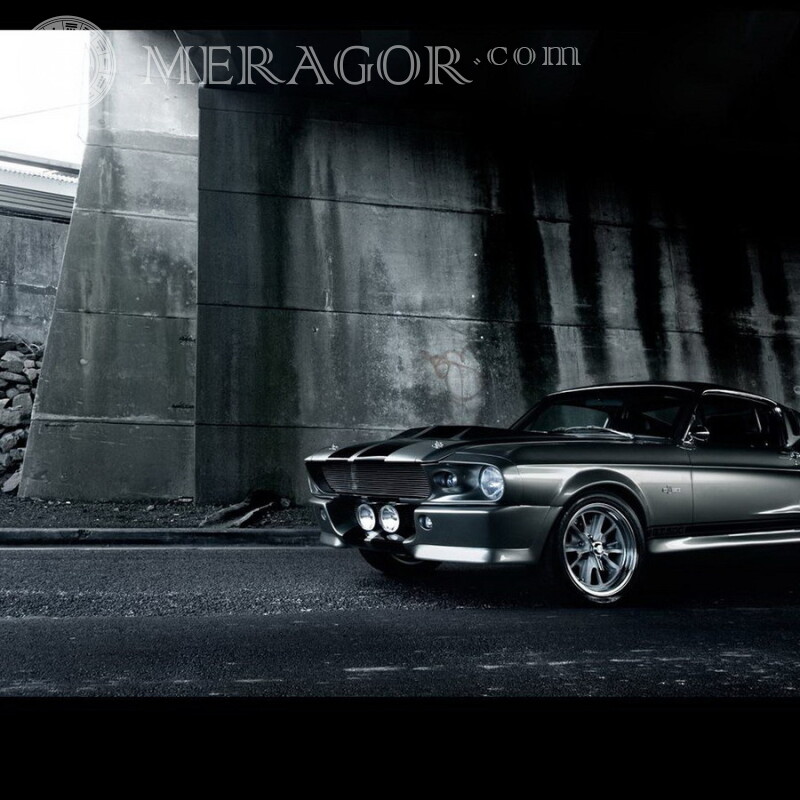 Teuer schwarzer Ford Mustang Foto pro Seite herunterladen Autos Transport