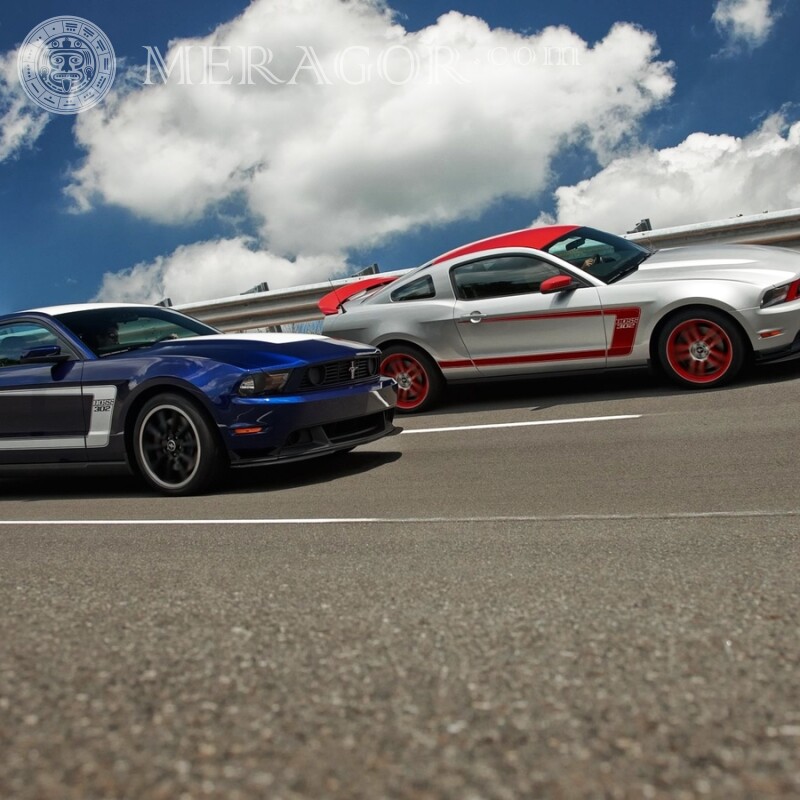 Гонки на Ford Mustang скачать фото для парня Autos Transport Rennen