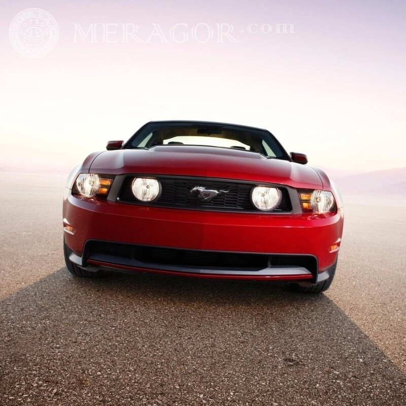 Красный элегантный Ford Mustang скачать фото для девушки Автомобили Транспорт