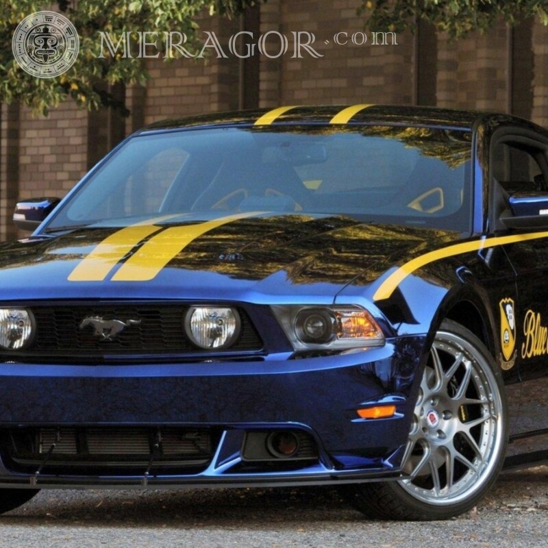 Крутий синій Ford Mustang завантажити фото для хлопця на аватарку Автомобілі Транспорт