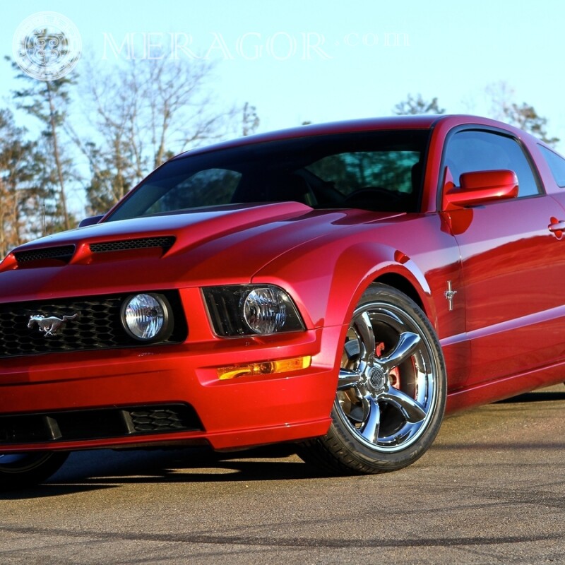Классный красный Ford Mustang скачать фото на аву для девушки Автомобили Транспорт