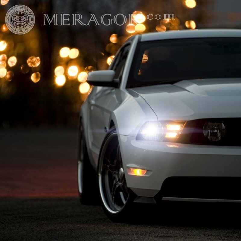 White Ford Mustang download photo on profile picture for a guy Cars Transport