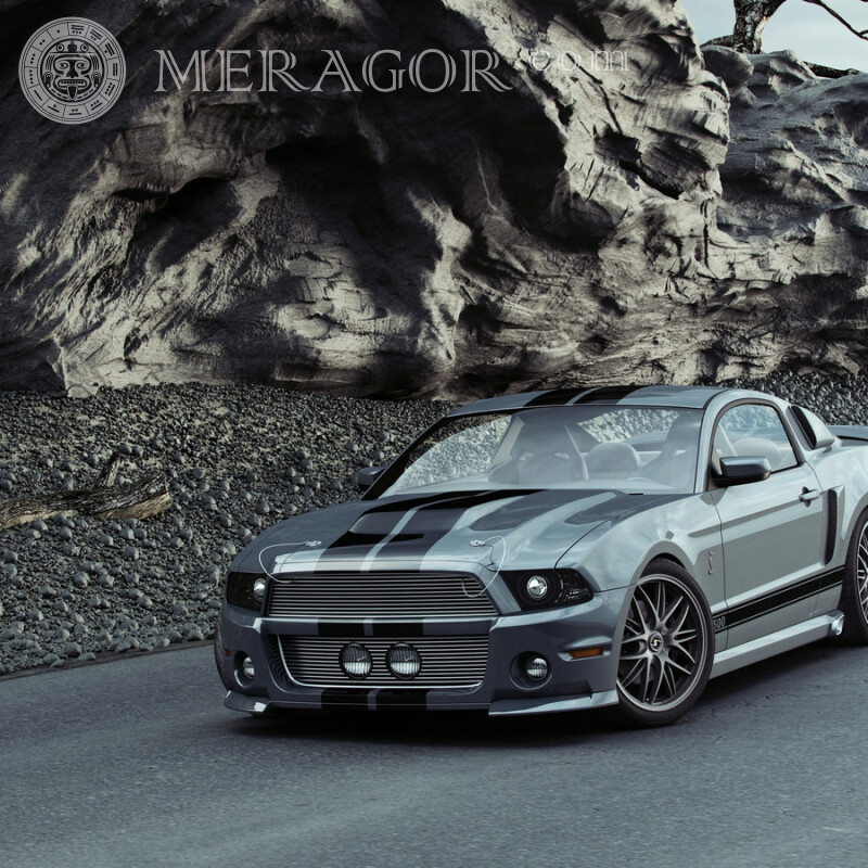 Cooler Ford Mustang Download Foto auf Ihrem Profilbild für einen Kerl Autos Transport